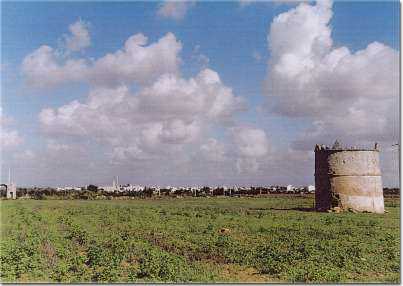 la torre colombaia