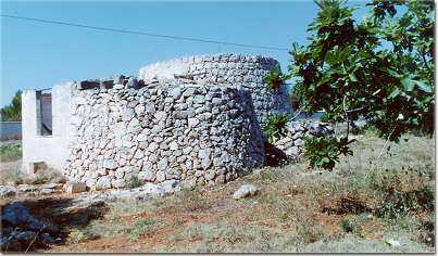 Pajara