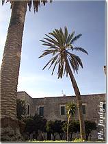 Palazzo Scarciglia - Minervino d'otranto