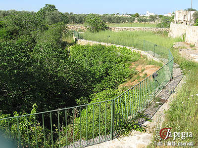 visita guidata a barbarano