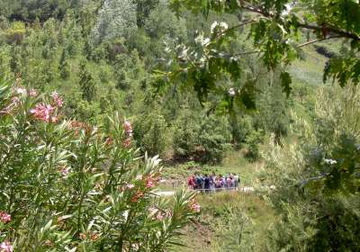 Parco dei Fossili