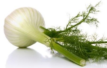 Le verdure fresche Le verdure fresche