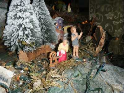 Presepe privato