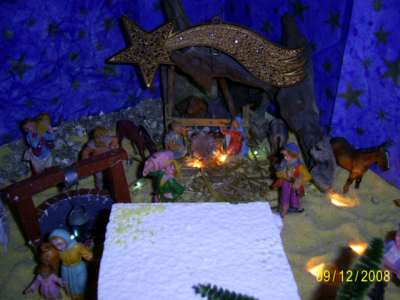 Presepe privato