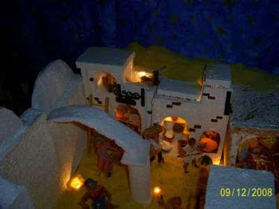 Presepe privato