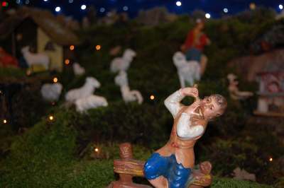 Presepe privato