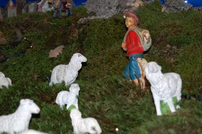 Presepe privato