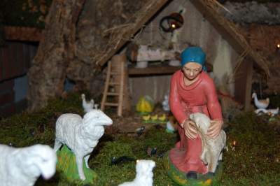 Presepe privato