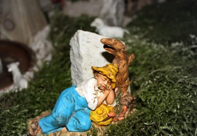 Presepe privato