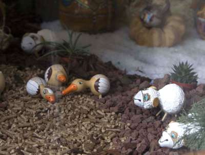 Presepe privato