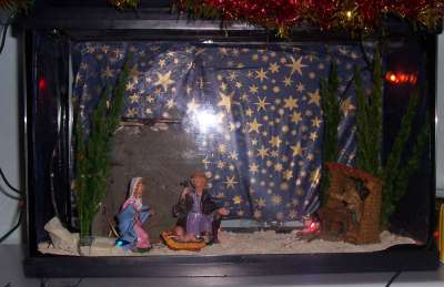 Presepe privato