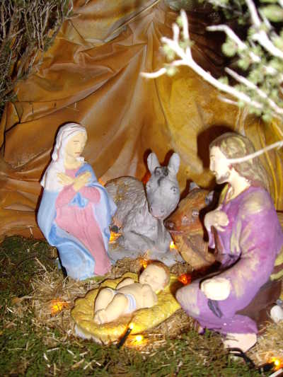 Presepe privato