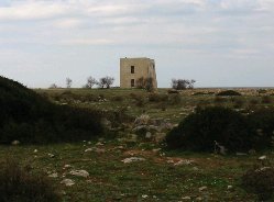 Torre vista dal piano stradale